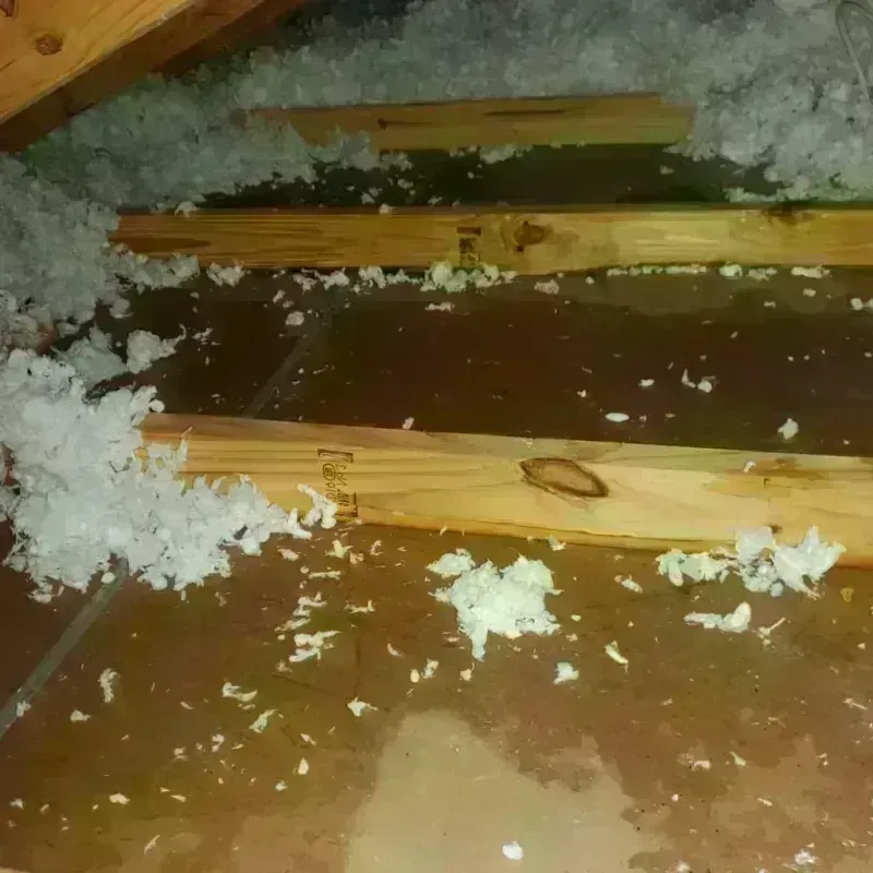 Attic Water Damage in Camp Meeker, CA